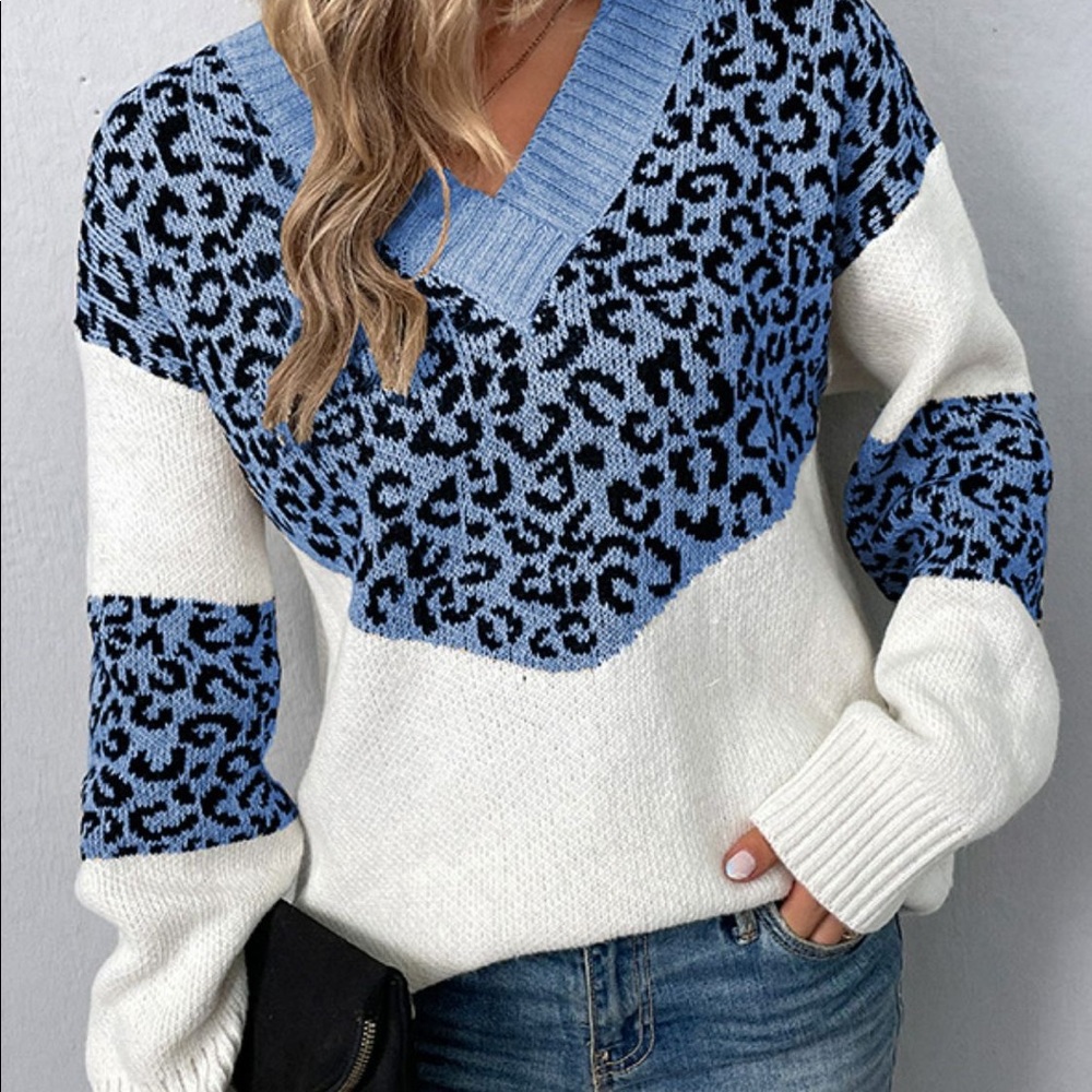 Leopard Color Block V-Neck Ribbed Trim Sweater - Picture 8 of 10